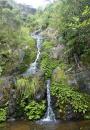 The small waterfalls at Whangamumu